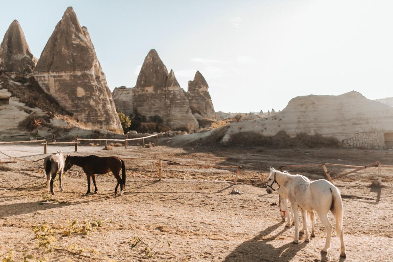 Sandik Cave Suites Nevşehir Bagian luar foto