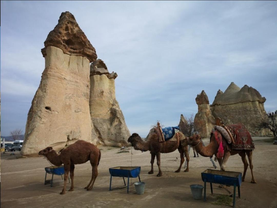 Sandik Cave Suites Nevşehir Bagian luar foto